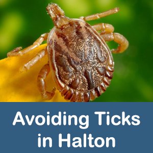 ticksinhalton