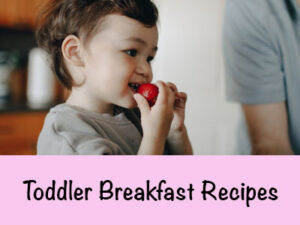 Toddler Breakfast Recipes