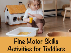 Fine motor skills Activities for Toddlers